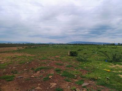 Commercial Plot