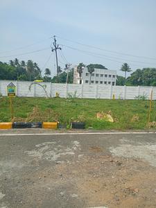 Commercial Plot
