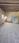 Others image of 3000.0 Sq.ft   Warehouse for rent in Kandivali West for 130000