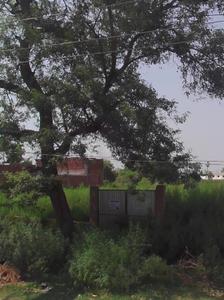 Commercial Plot