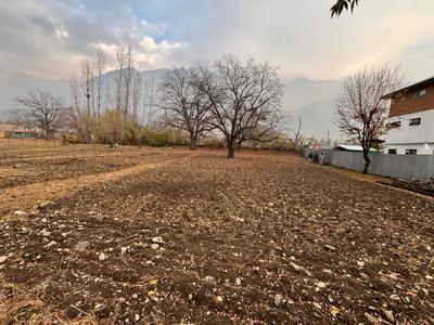 Commercial Plot