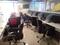 Commercial image of 7000.0 Sq.ft Ready to use Office Space for rent in Sector 4 for 400000