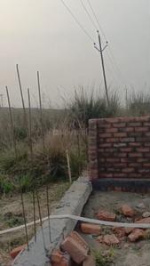 Commercial Plot