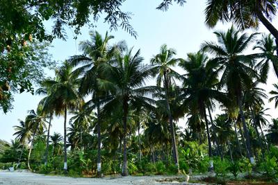 Others image of 6534.0 Sq.ft   Commercial Property for sale in Koramangala for 2599999