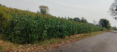 Others image of 150000.0 Sq.ft Commercial Plot for sale in Dahegam for 360000