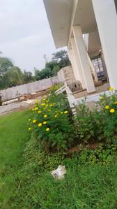 Others image of 58806.0 Sq.ft   Commercial Plot for sale in Pudur for 57000000