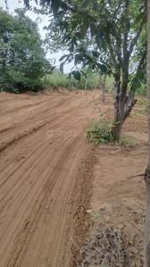 Others image of 34848.0 Sq.ft pre-leased  Commercial Plot for sale in Pushkar for 16000000