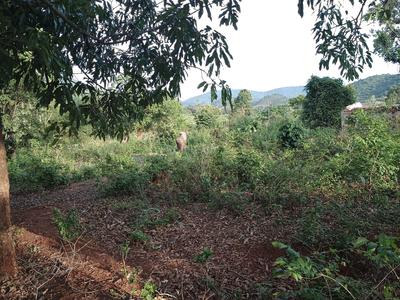 Others image of 75.0 Sq.ft   Commercial Plot for sale in Naringopodar for 14000000
