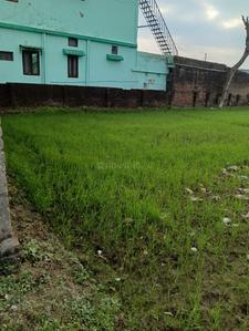 Others image of 8100.0 Sq.ft   Commercial Plot for rent in Kargi for 60000