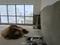 Others image of 1027.0 Sq.ft  Bare shell Office Space for sale in Taltala for 14891500