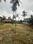 Others image of 8934.0 Sq.ft   Commercial Plot for sale in Perinthalmanna for 425000