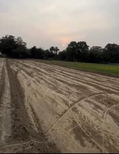 Others image of 1299.0 Sq.ft   Commercial Plot for sale in Khujauli for 1299000