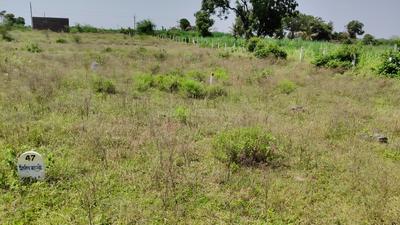 Others image of 6000.0 Sq.ft   Commercial Plot for rent in Dalimb for 50000