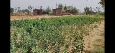 Others image of 143924.0 Sq.ft   Commercial Plot for sale in Theekariya for 215000000