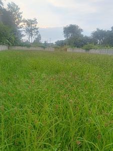 Others image of 12252.0 Sq.ft   Commercial Plot for rent in Hesargatta for 200000