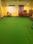 Others image of 800.0 Sq.ft Showroom for rent in Nallagandla for 75000