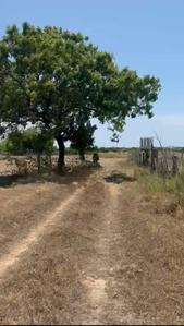 Others image of 15000.0 Sq.ft   Commercial Plot for sale in Thiruvidandhai for 4500000