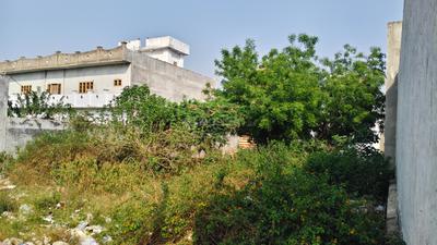 Commercial Plot