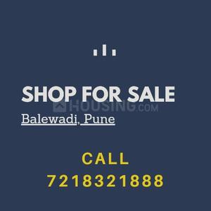 Others image of 330.0 Sq.ft   Shop for sale in Balewadi for 11700000
