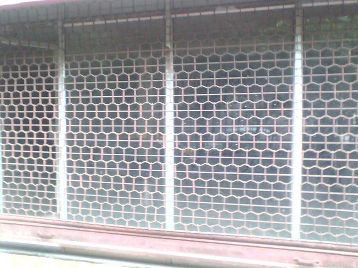 400 sq.ft Showroom for rent in Kalighat, Kolkata ID 100066365