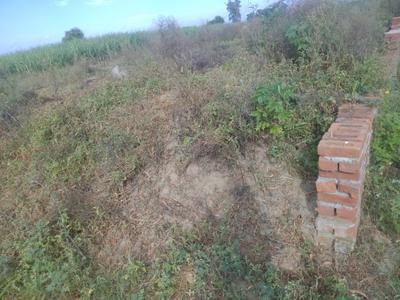 Others image of 163.0 Sq.ft Commercial Plot for sale in Joya for 1700000