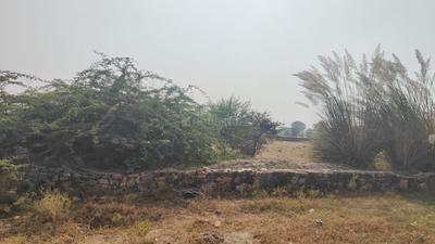 Commercial Plot