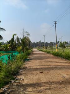 Commercial Property