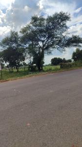 Others image of 250.0 Sq.ft   Commercial Plot for sale in Chevella for 11200000
