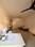 Others image of 300.0 Sq.ft pre-leased  Shop for sale in Sector 49 for 3900000