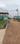 Others image of 100000.0 Sq.ft   Commercial Plot for sale in Chata Kalikapur for 450000