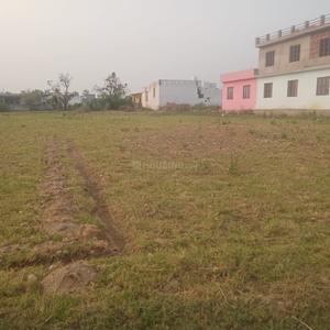 Others image of 1000.0 Sq.ft pre-leased  Commercial Plot for sale in Dharmal for 380000