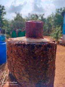 Others image of 43590.0 Sq.ft   Commercial Plot for sale in Mangalam for 3400000