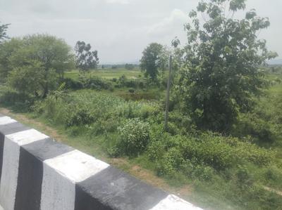 Commercial Plot