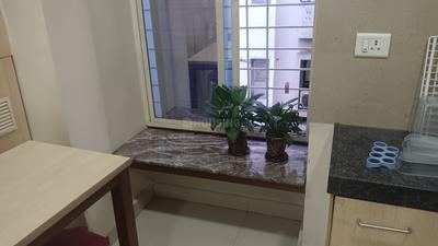 Others image of 1050.0 Sq.ft  Ready to use Office Space for rent in Koregaon Park for 120000