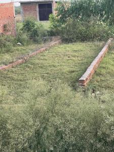 Commercial Plot