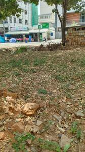 Others image of 945.0 Sq.ft pre-leased  Commercial Plot for sale in Chikkalasandra for 33500000