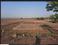 Others image of 10000.0 Sq.ft   Commercial Plot for sale in Belondakhar for 3990000