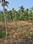 Others image of 8708.0 Sq.ft   Commercial Plot for sale in Elamaram for 11000000