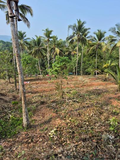 Others image of 8708.0 Sq.ft   Commercial Plot for sale in Elamaram for 11000000