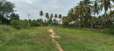 Commercial Property