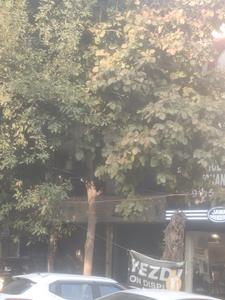 Commercial image of 150.0 Sq.ft   Shop for rent in Paschim Vihar for 32000
