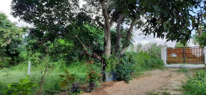 Others image of 2895.0 Sq.ft   Commercial Plot for sale in Purasawalkam for 70000000