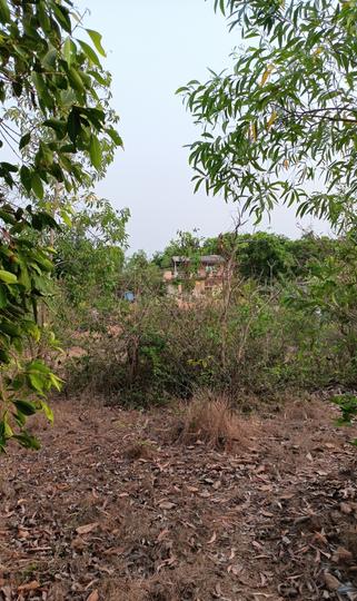 Others image of 50000.0 Sq.ft   Commercial Plot for sale in Kashid for 400000