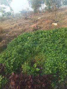 Others image of 230400.0 Sq.ft   Commercial Plot for sale in Khanjanpur for 15000000