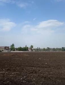 Others image of 80000.0 Sq.ft   Commercial Plot for rent in Shri Ram Talawali for 160000