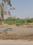 Others image of 13500.0 Sq.ft   Commercial Plot for rent in Chandkheda for 241000