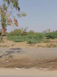 Commercial Plot