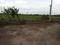 Others image of 500.0 Sq.ft   Commercial Property for rent in Mangadu for 10000