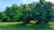 Others image of 4840.0 Sq.ft   Commercial Plot for sale in Chevella for 24000000