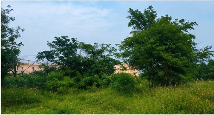Others image of 43055.0 Sq.ft   Commercial Plot for sale in Tamaka for 60000000